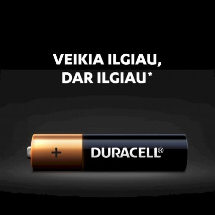 Baterijos DURACELL AAA, LR03, 2 vnt. 2