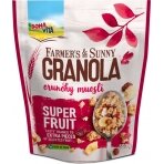 Granola BONA VITA, su vaisiais, 500 g