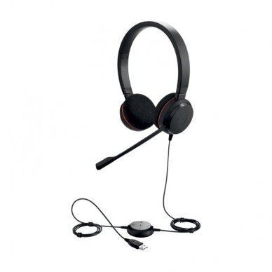 Jabra Evolve 20 UC Stereo 1