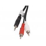 Lanberg CA-MJRC-10CC-0050-BK audio kabelis Mini Jack 3.5 mm, 2 x RCA (Chinch), 5 m, Juoda